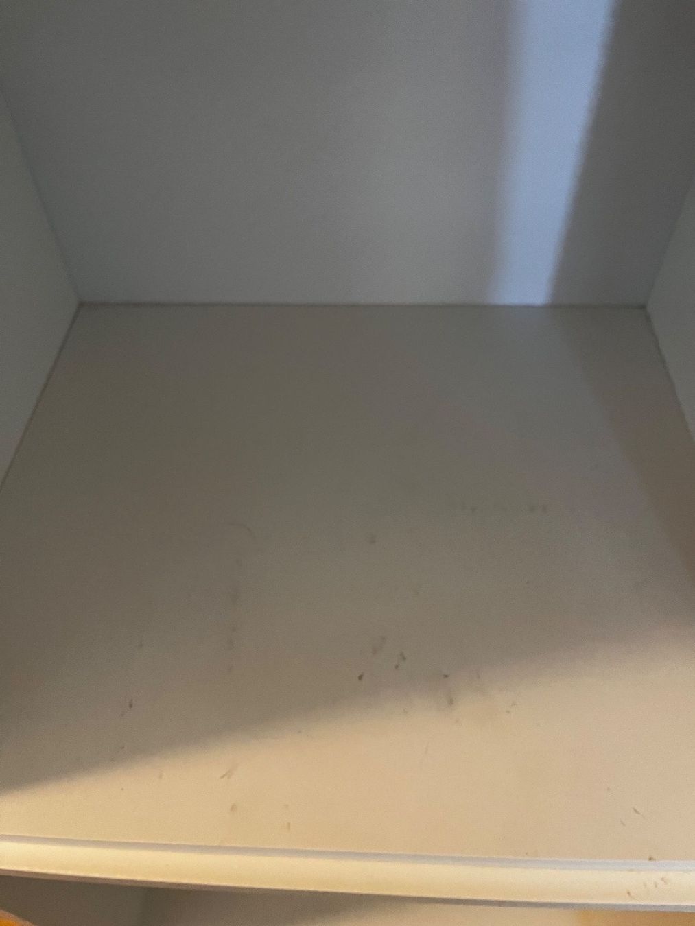 Ikea Scaffali: Regalkuben/Regalwürfel, weiss, gebraucht – Usato da Bern venduto da Namira81 3
