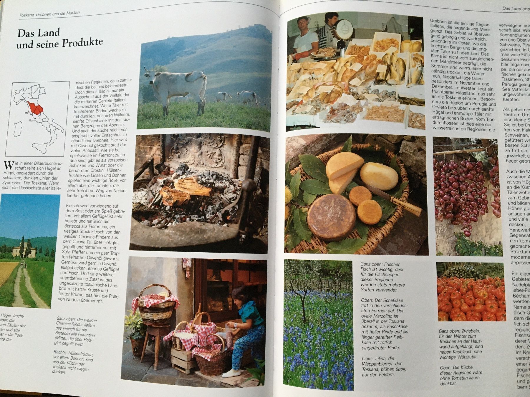 Libri: Die echte Italienische Küche – Usato da Arth venduto da Vrecam51 2