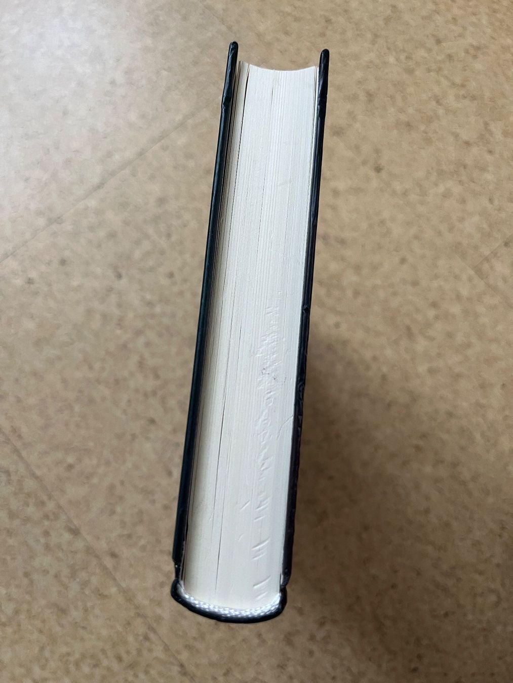 Livres: Buch gebunden "Ich bin ein FEHLER und ich liebe es" – D'occasion à Grosswangen par Vita500 3