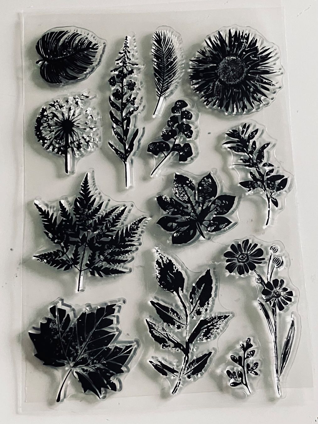 Stempel: Neues Set  Motivstempel Blätter / Blumen – Neu und originalverpackt aus Effretikon von wenuss 4
