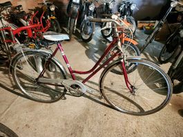 3-Gang Velo Titan Damenrad funktionsfähig, Service fällig
