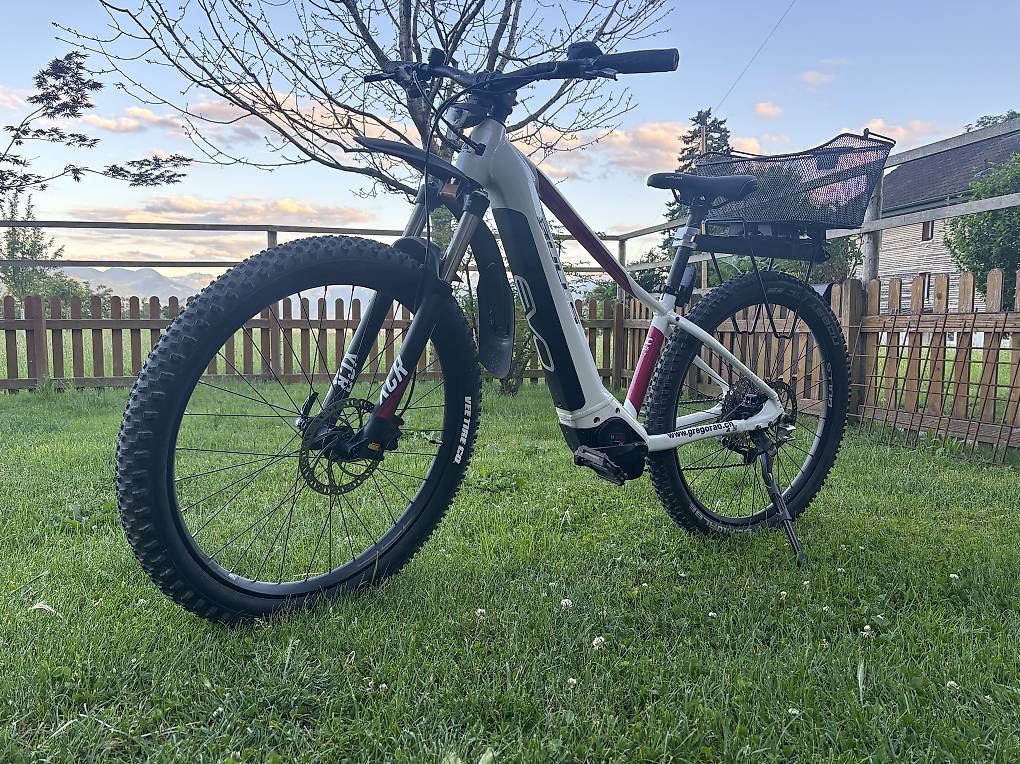 Bulls Biciclette: E Bike Bulls Aminga EVA 2 – Usato da Marbach SG venduto da Dala97