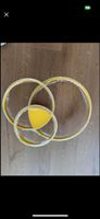 LED Deckenleuchte, Dimmbar, 55cm Durchmesser, Neuwertig