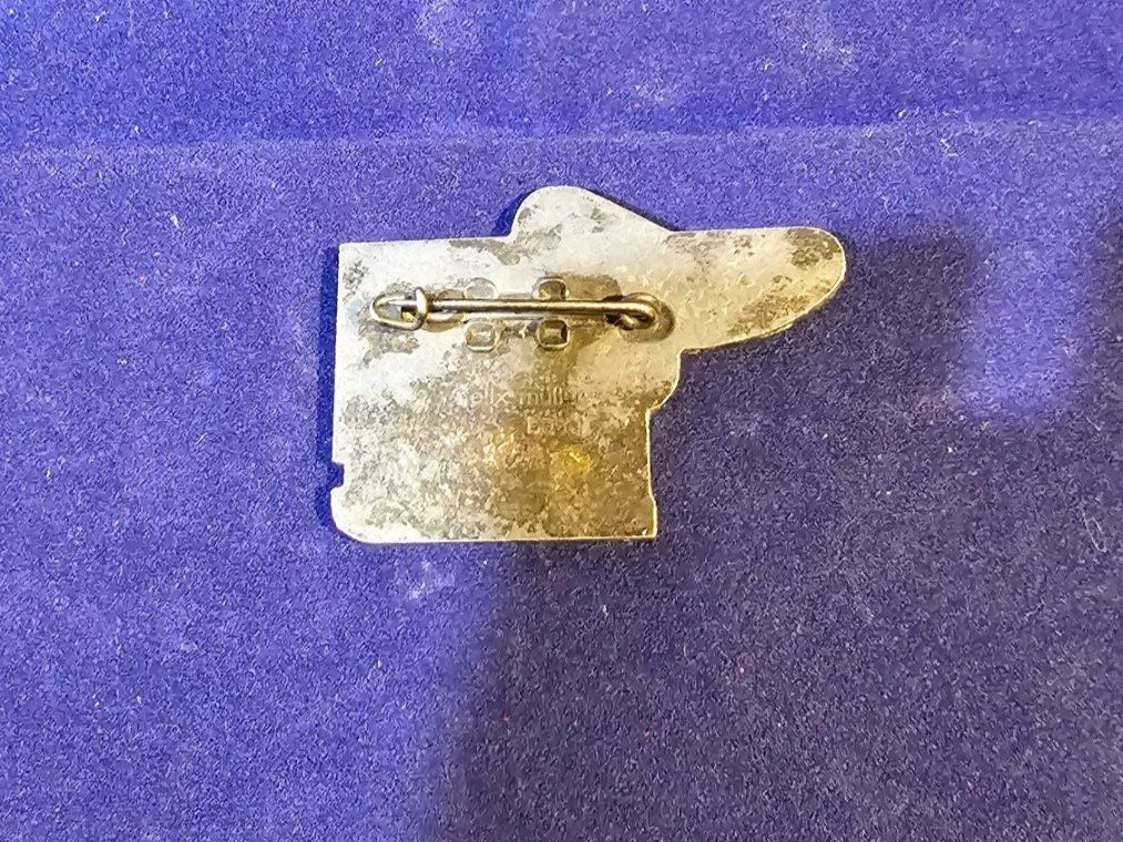 Basler Placchette & Badge: Basler Fasnachtsblaggede  1975 silber – Usato da Wald AR venduto da Bwaldy 1