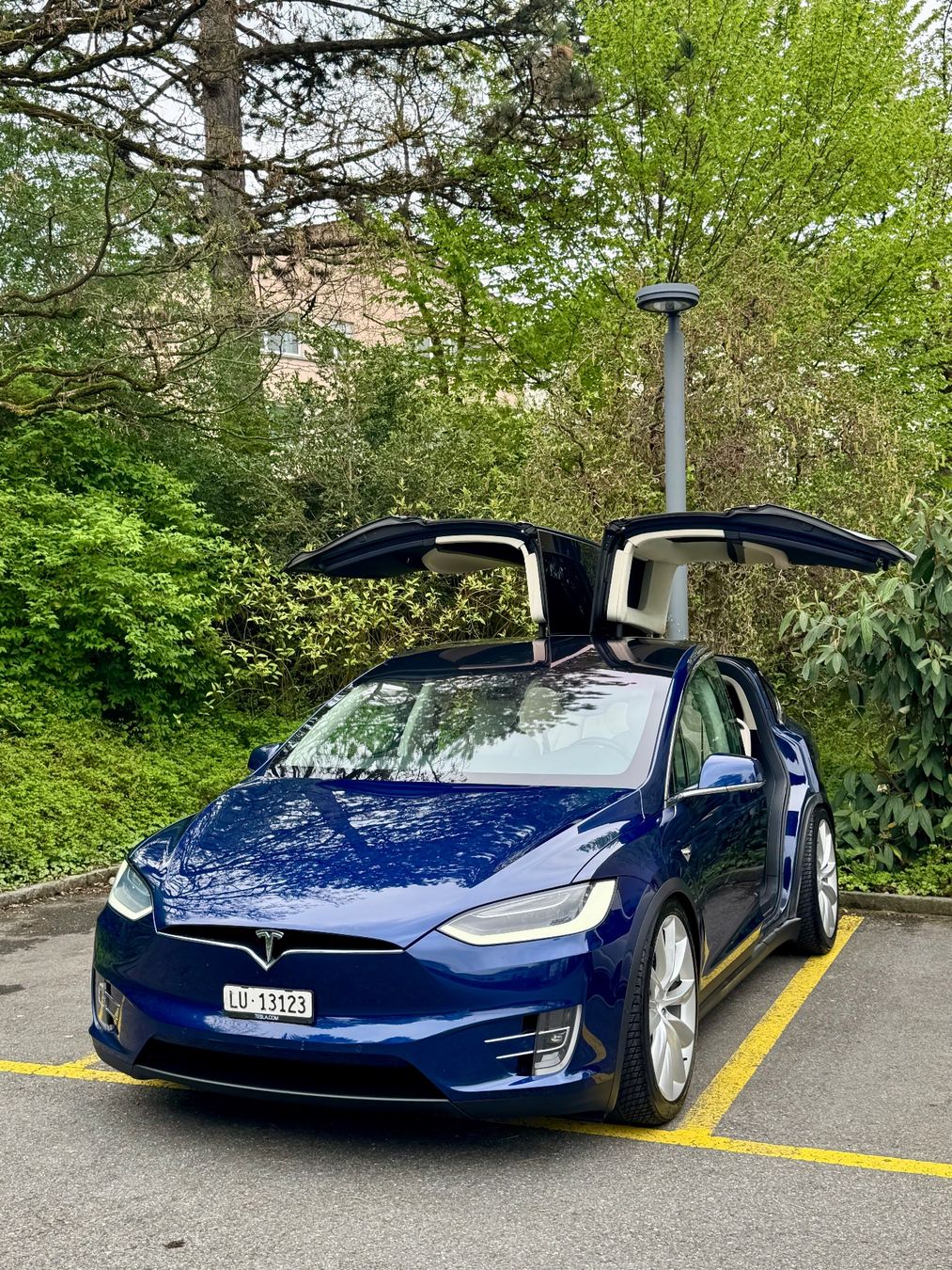 Tesla Autos: Tesla Model X 100 D 7 Plätzer sehr selten – Gebraucht aus Nebikon von kau_2bfl 1