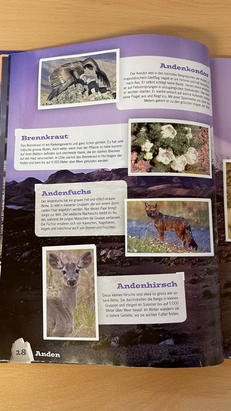 Libri: Mountain Mania - Abenteuer Bergwelt – Usato da Glattfelden venduto da markweb 5