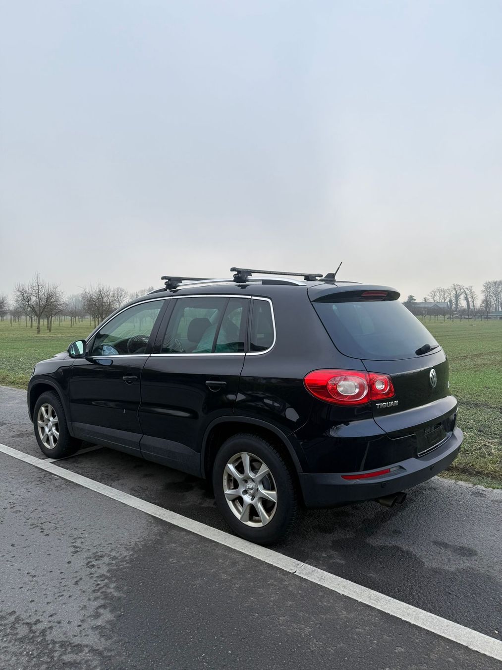 VW Automobili: VW Tiguan 2.0 tdi – Usato da Altstätten SG venduto da kurta_23 3