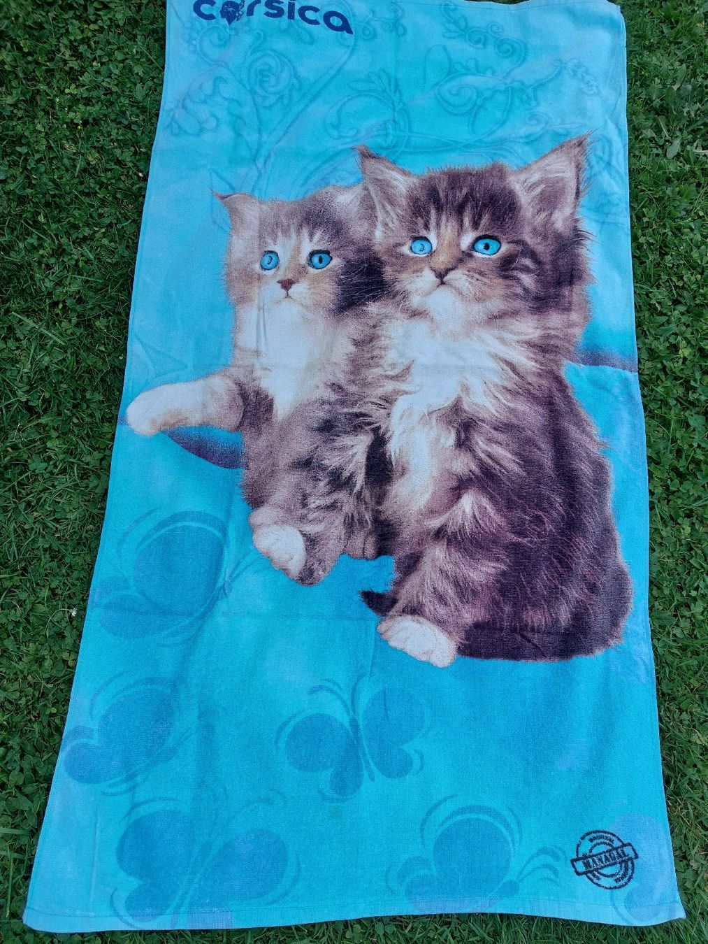Teli da bagno: Serviette de plage  deux chatons bleus été – Usato da Mont-sur-Lausanne venduto da ane_pgq6 2