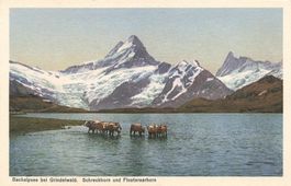 Grindelwald BE Bachalpsee mit Schreckhorn und Finsteraarhorn