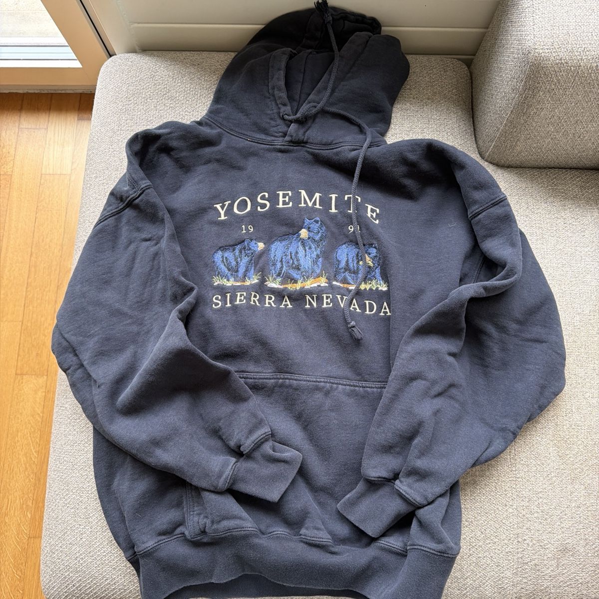 Brandy Melville Maglioni & Felpe: Oversize Hoodie – Usato da Kriens venduto da fiona.law98