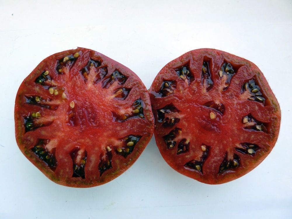Pflanzen & Samen: 50 Samen Schwarze Tomate CARBON – Neu (gemäss Beschreibung) aus Ehrendingen von VerveinaSamen 4