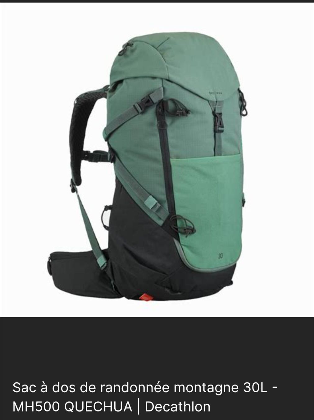 Decathlon Zaini: Sac à dos de randonnée 30L – Nuovo (secondo la descrizione) da Fribourg venduto da MathiiR