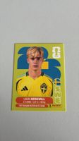 Carte panini 2026 - SWE 8