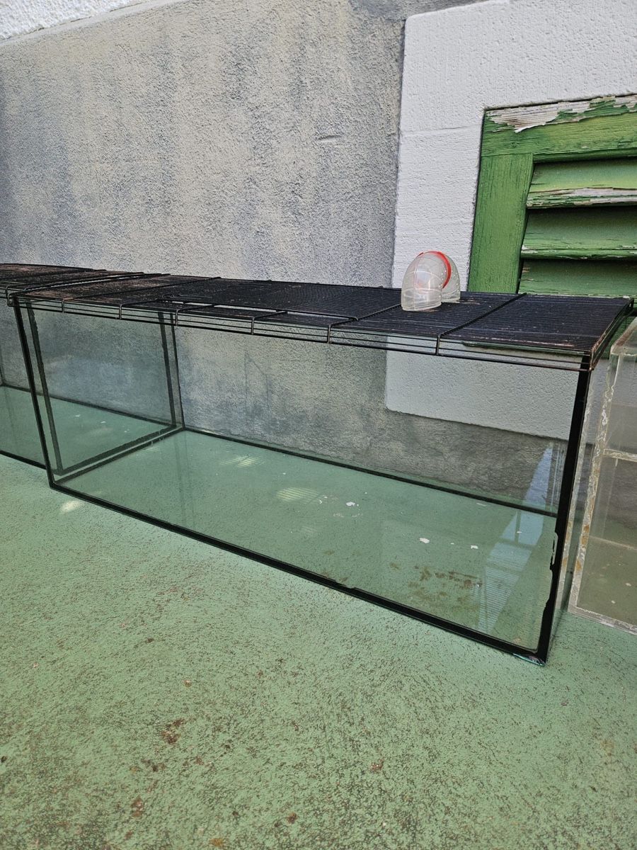 Terrario: Grosses Nagerterrarium – Usato da Gontenschwil venduto da hof_5cbp