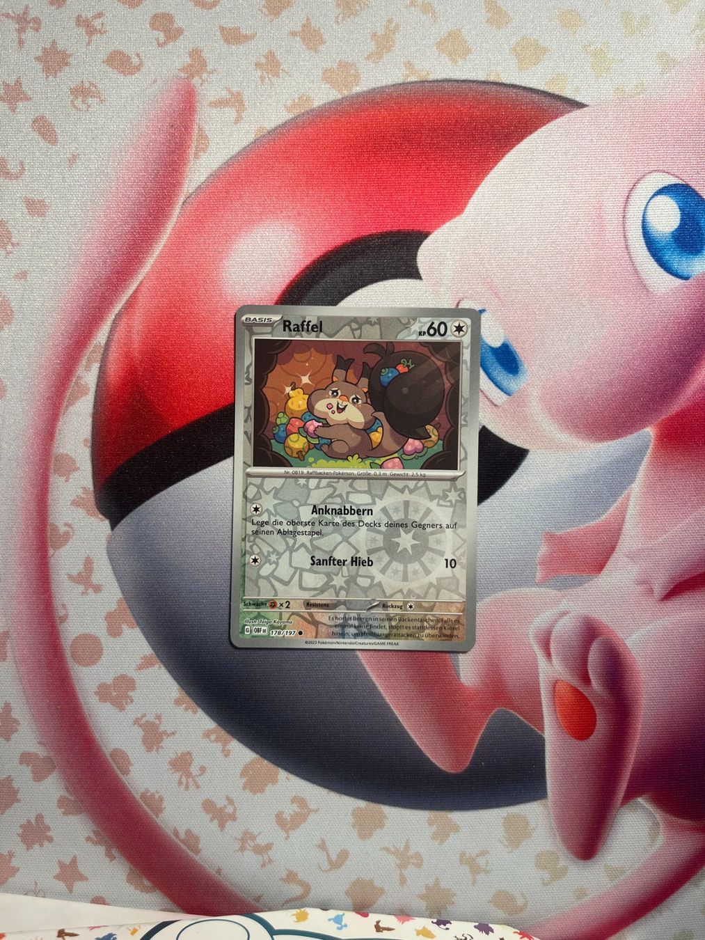 Pokémon Carte collezionabili: Raffel Pokemon Karte Holo/Reverse Holo/Common – Usato da Winterthur venduto da ale_6z2f