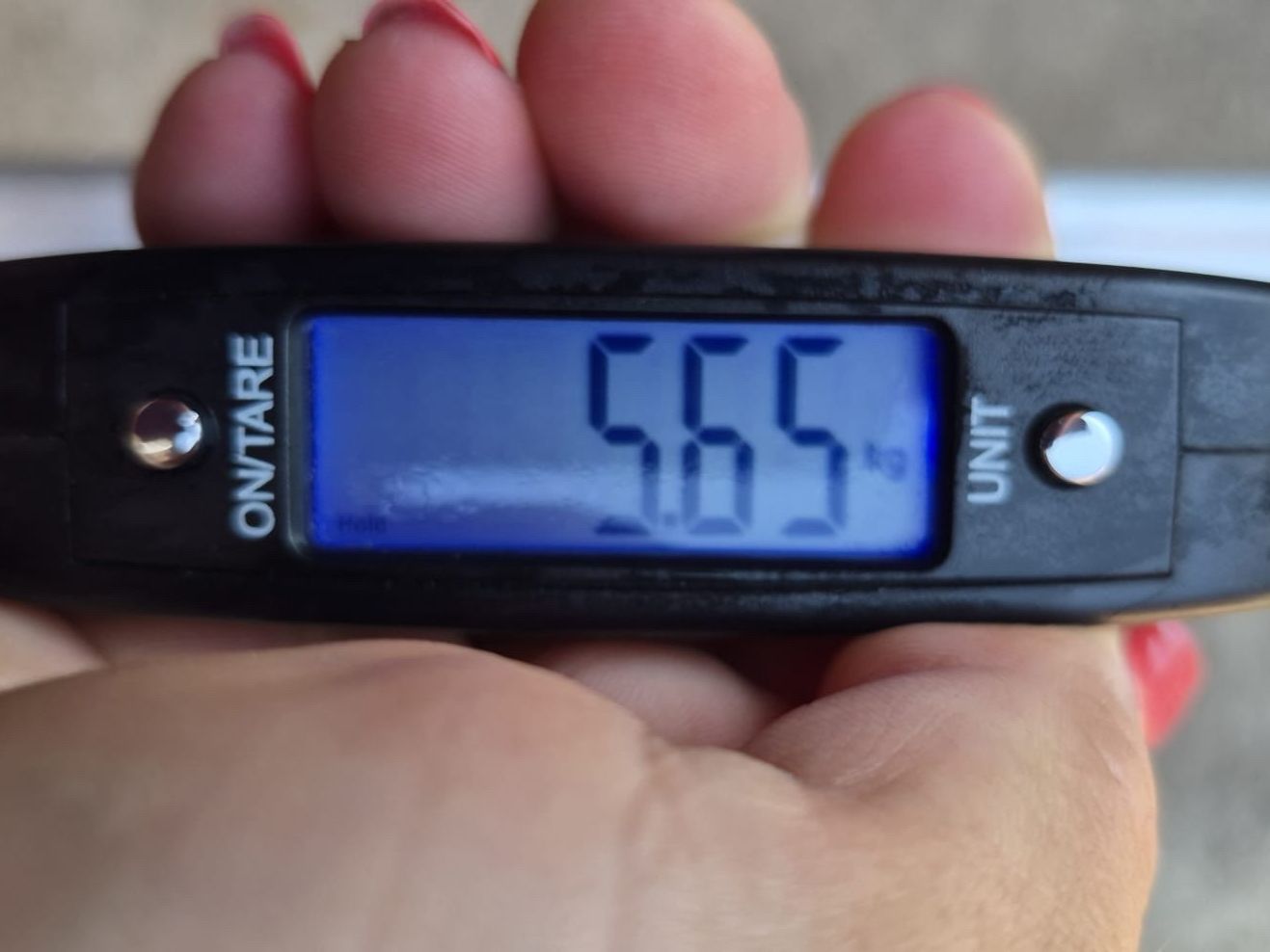 Käfige, Transport & Sicherheit: Solvit Teleskop-Hunderampe gebraucht – Gebraucht aus Wichtrach von Krewil 3