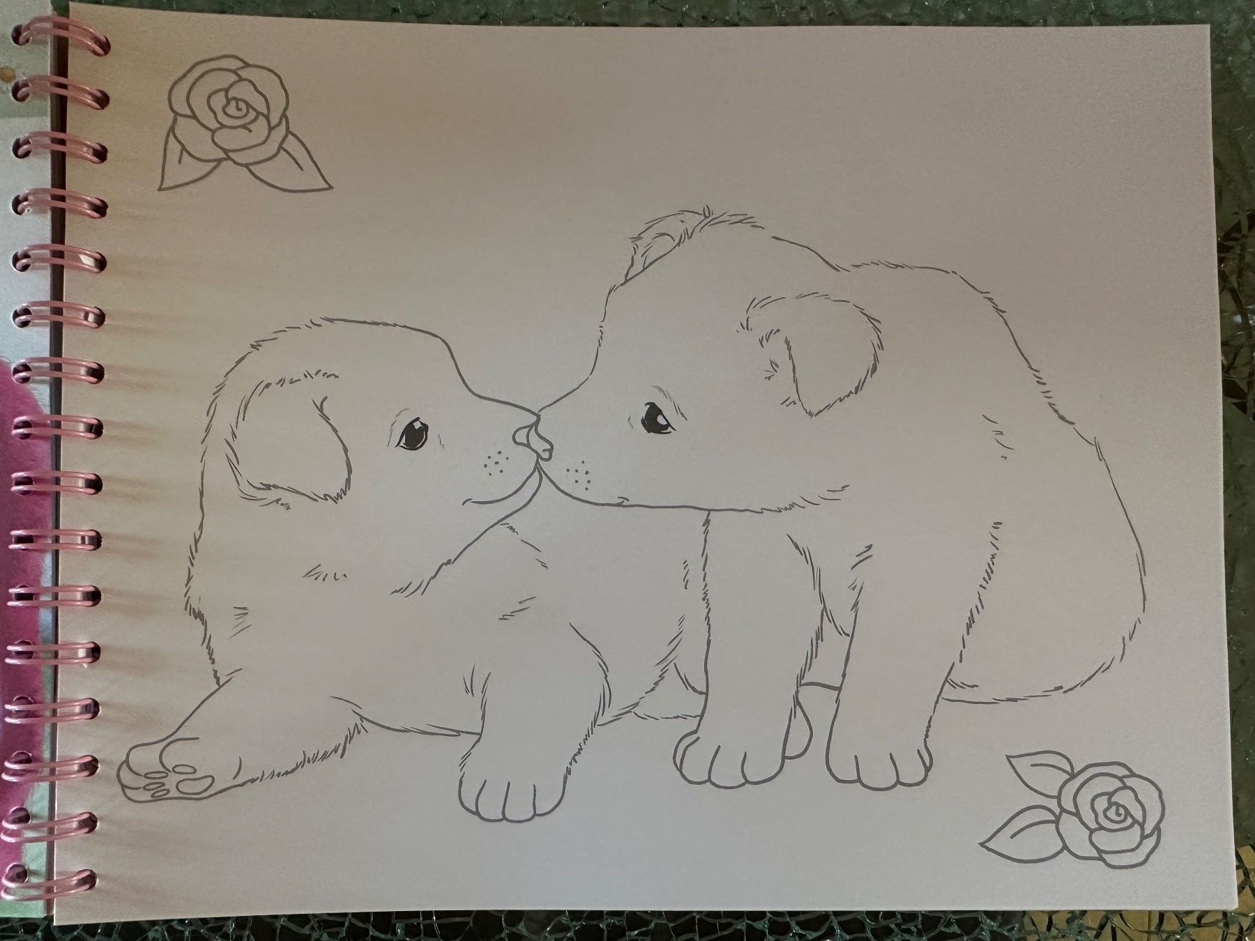 Bücher: Creative Studio Animal Love Zeichnungsheft – Gebraucht aus Riedt b. Erlen von sina.aline 6