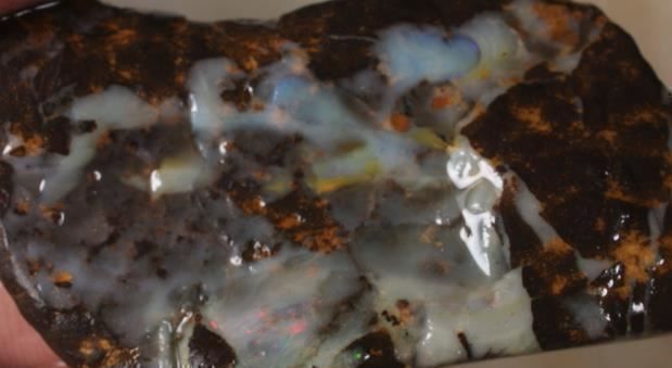 Edelsteine: Queensland Opalton Rohopal 63.00Cts. – Neu (gemäss Beschreibung) aus Bern von Grindelwaldaus