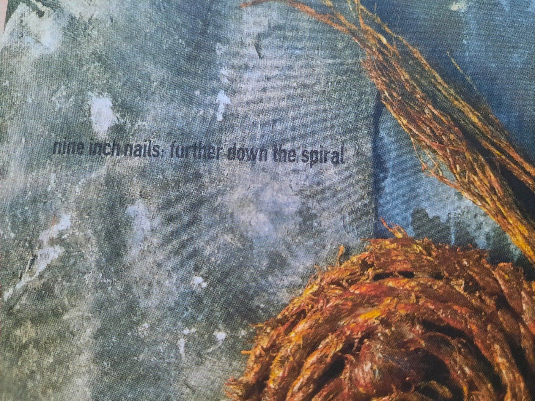 CD: Cd Nine Inch Nails - Further down the spiral  – Usato da Pully venduto da bro_n52j 1