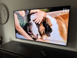 Samsung TV 55 Zoll LCD 4k UE55NU7170U