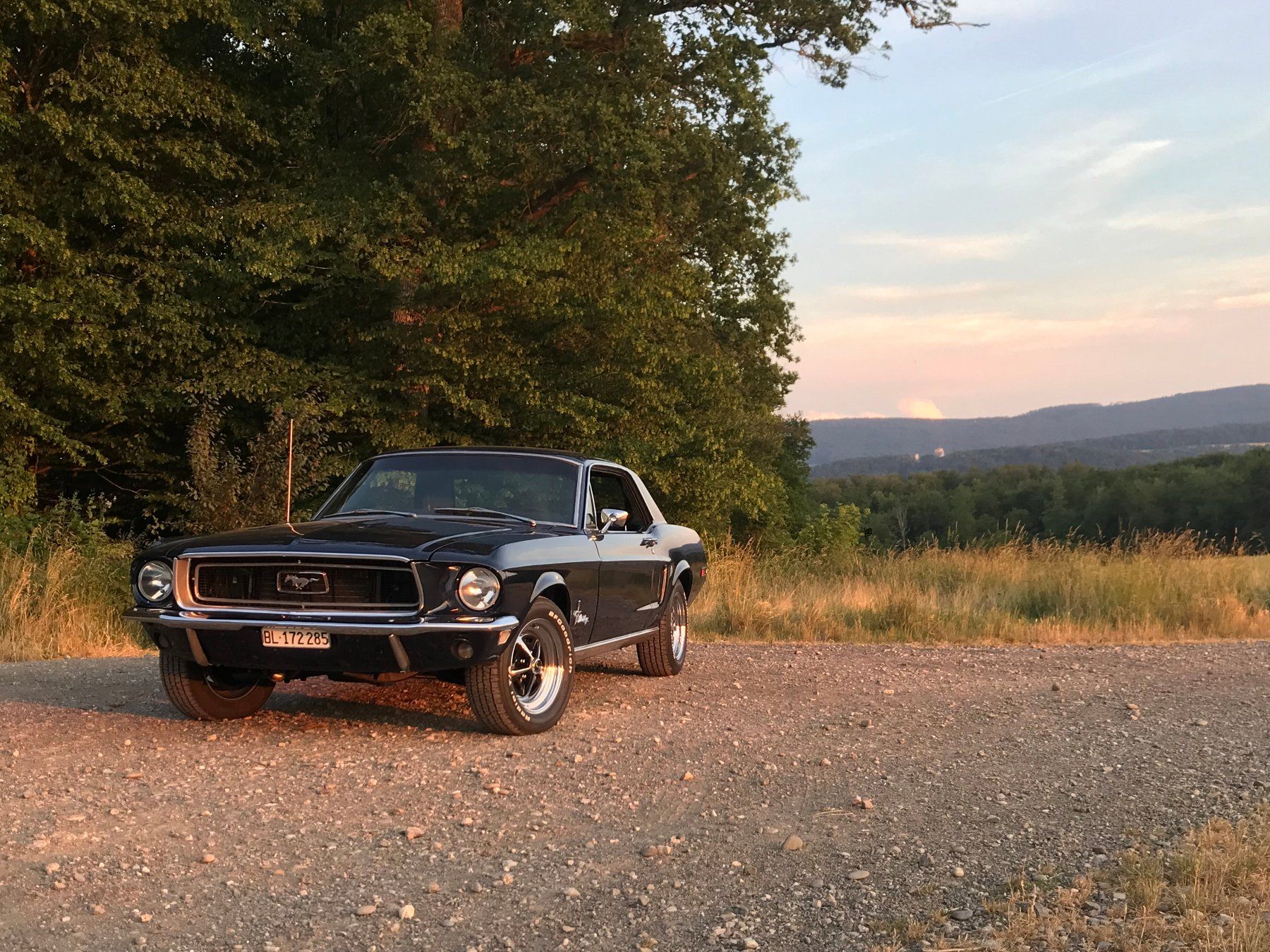 Ford (Usa) Automobili: Ford Mustang 1968, Veteran – Usato da Allschwil venduto da lukisina01 1