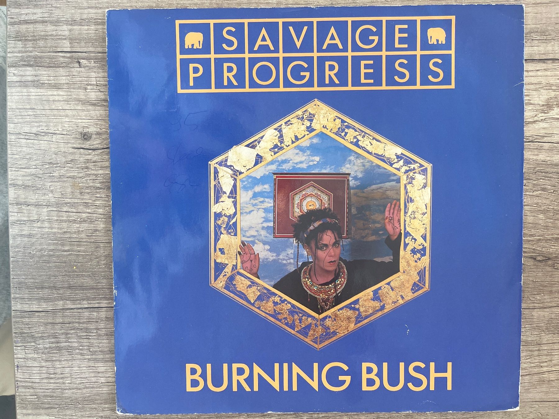 Schallplatten: S993/Savage Progress - Burning Bush Vinyl – Gebraucht aus Frutigen von Philippe_jsp