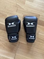 Boxhandschuhe von HAMMER
