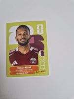 Panini Sticker QAT12