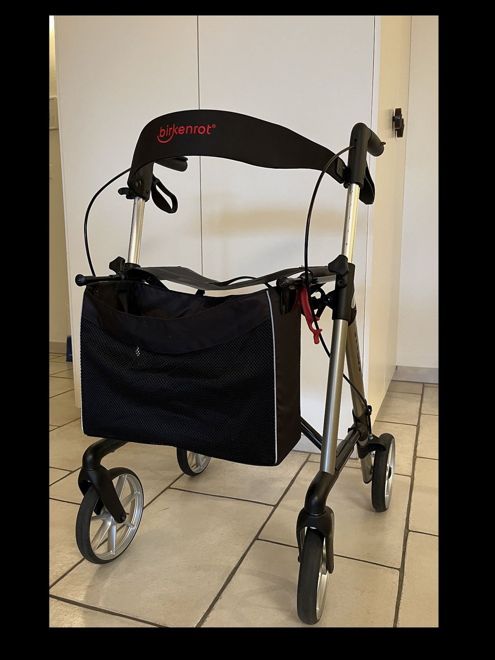Ausili per la deambulazione: Rollator Birkenrot Stylus – Usato da Meilen venduto da Jagir 2