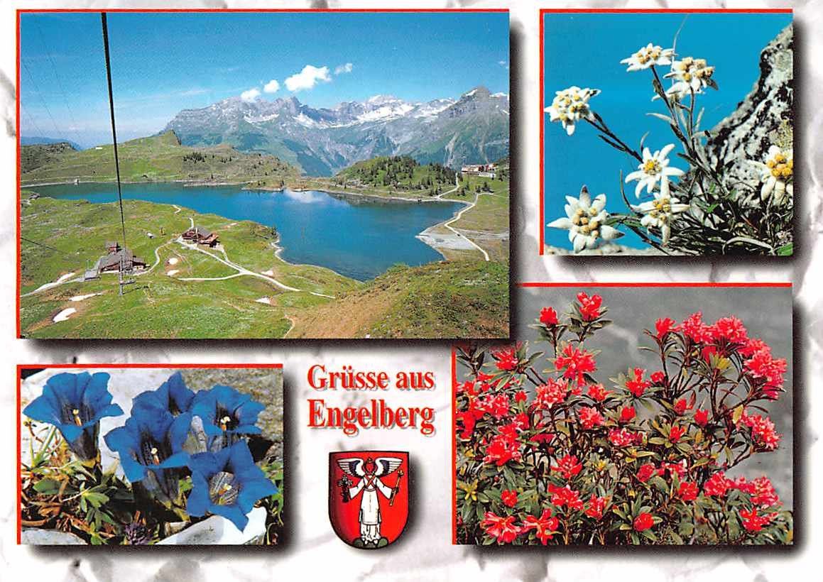 Cartoline postali: alte Ansichtskarte aus Archiv: DEUTSCHSCHWEIZ - ab 1.-- – Usato da Winterthur venduto da SchatzchischtliWinti