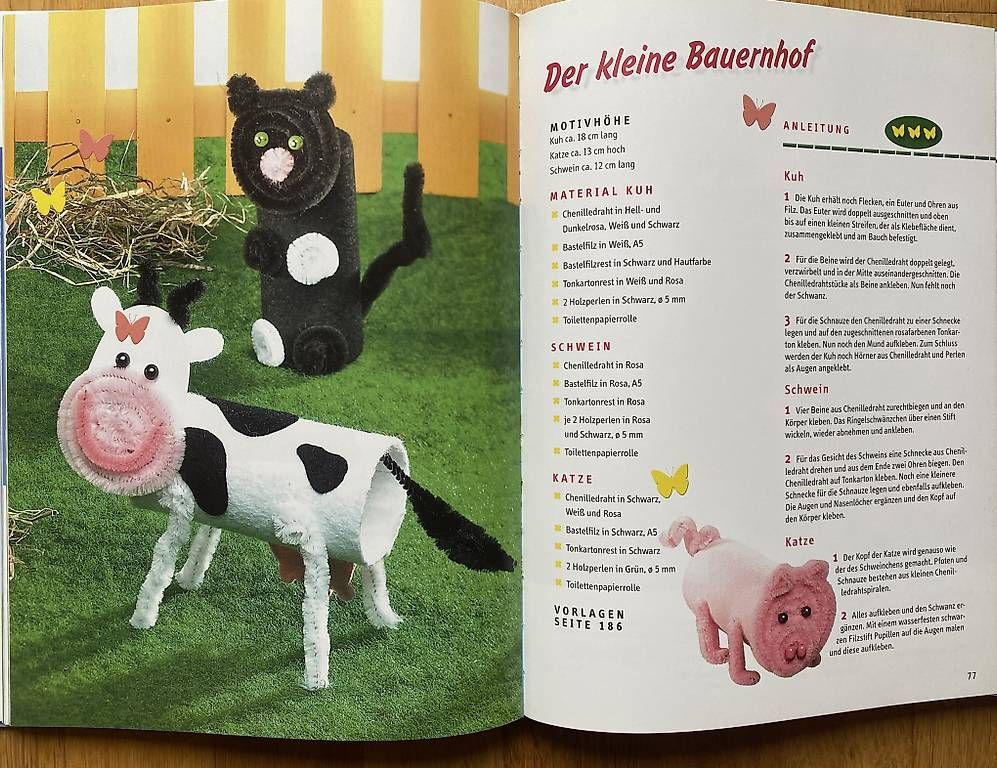 Bücher: Grosses Bastelbuch, neuwertig  – Gebraucht aus Winterthur von edy_d2hh 3
