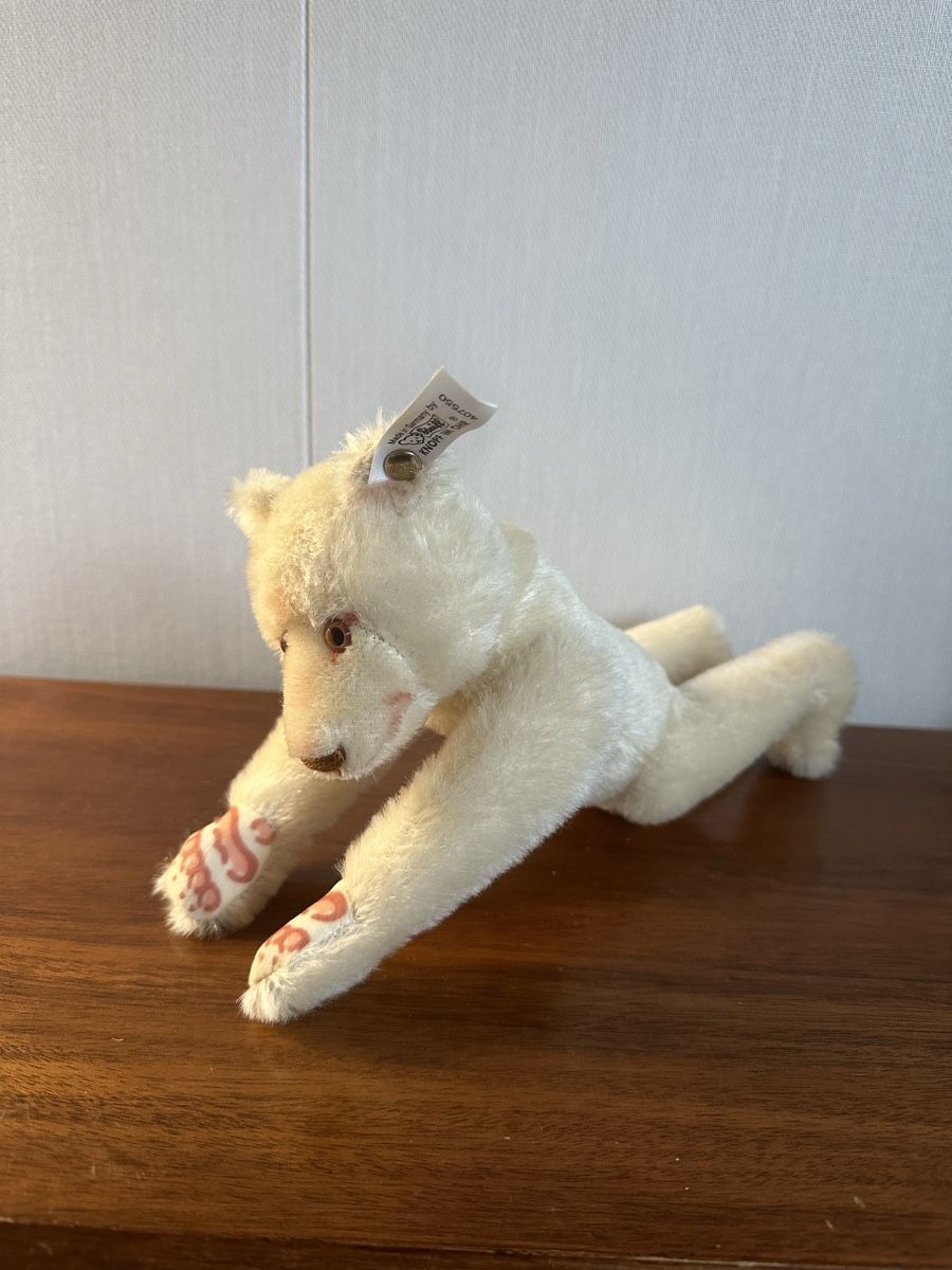 Steiff Puppen: Steiff Bär Dicky – Neu und originalverpackt aus Mumpf von A_B_E 3