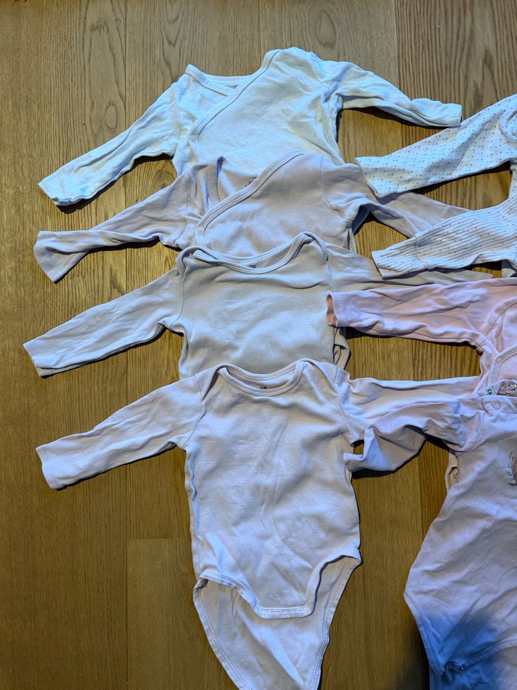 Lotti & Set di vestiti: 12 Mädchen Langarm Bodys 68 – Usato da Schaffhausen venduto da fiiat_500 2