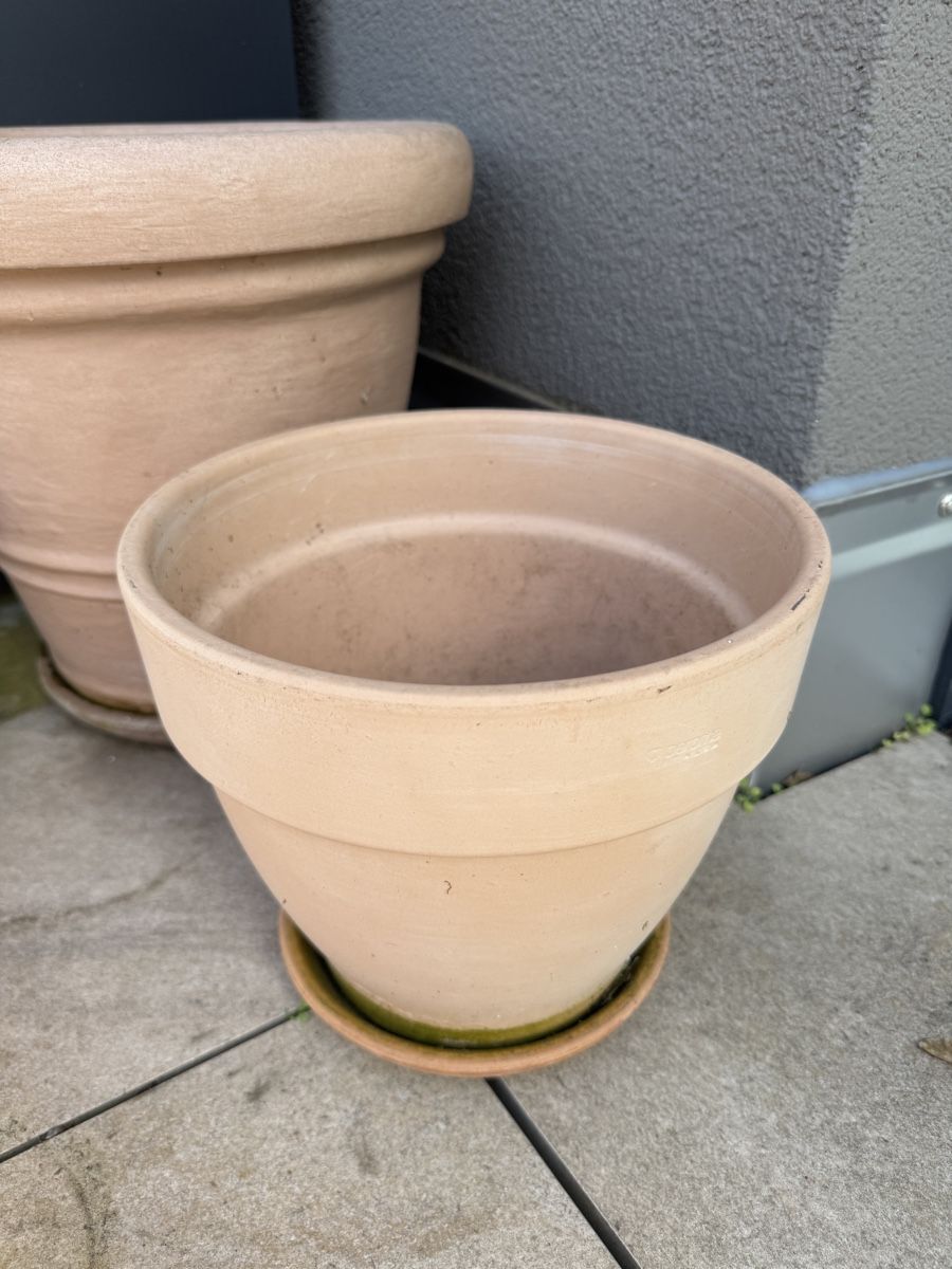 Vasi per fiori: Terrakotta-Topf 24cm – Usato da Zürich venduto da Barney156 1
