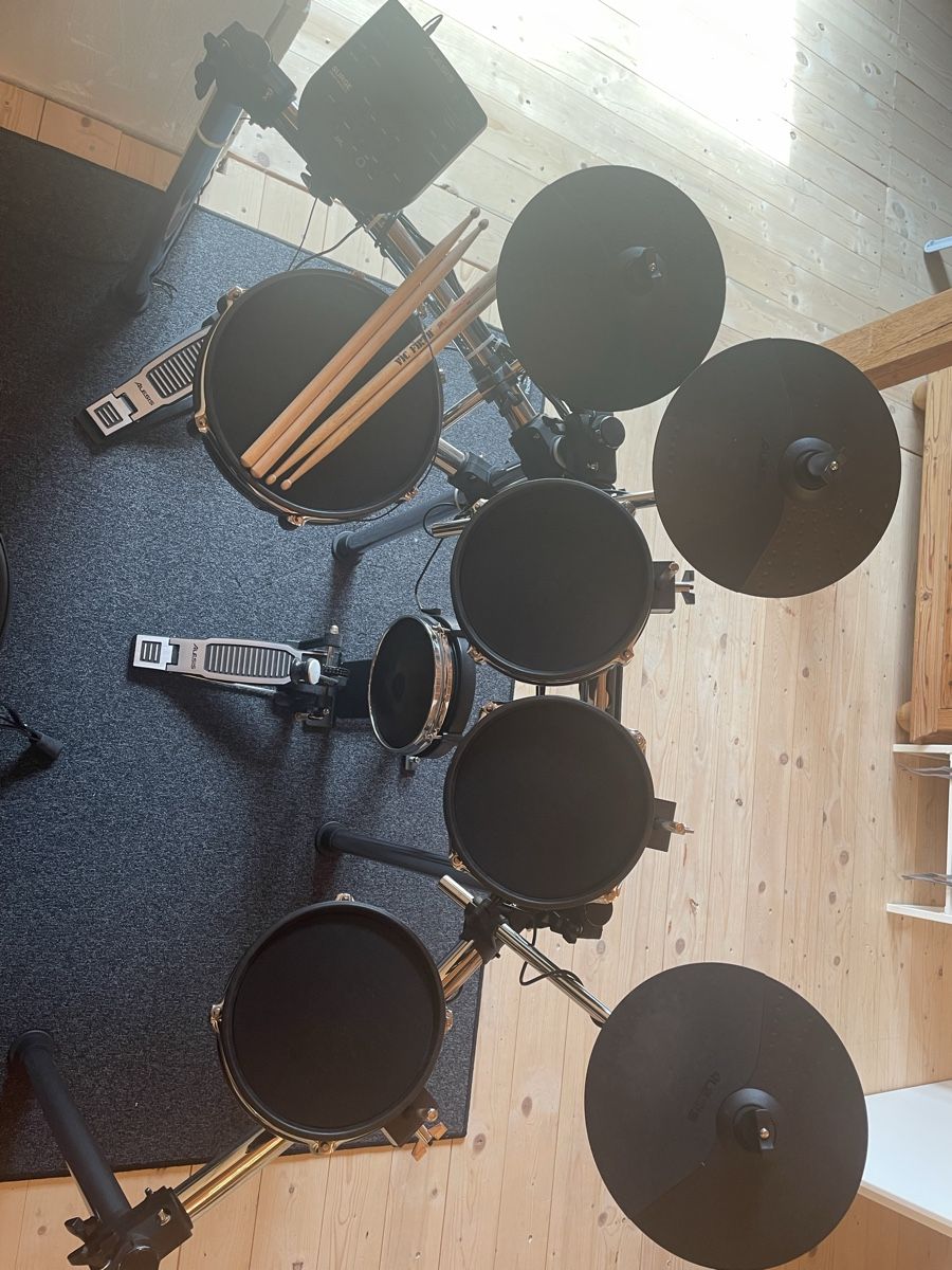 Alesis Strumenti musicali: Alesis Surge E-Drum Set mit Modul und Stöcken – Usato da Root venduto da luc_6ygq