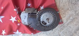 Piaggio Ciao Malossi Rennmotor