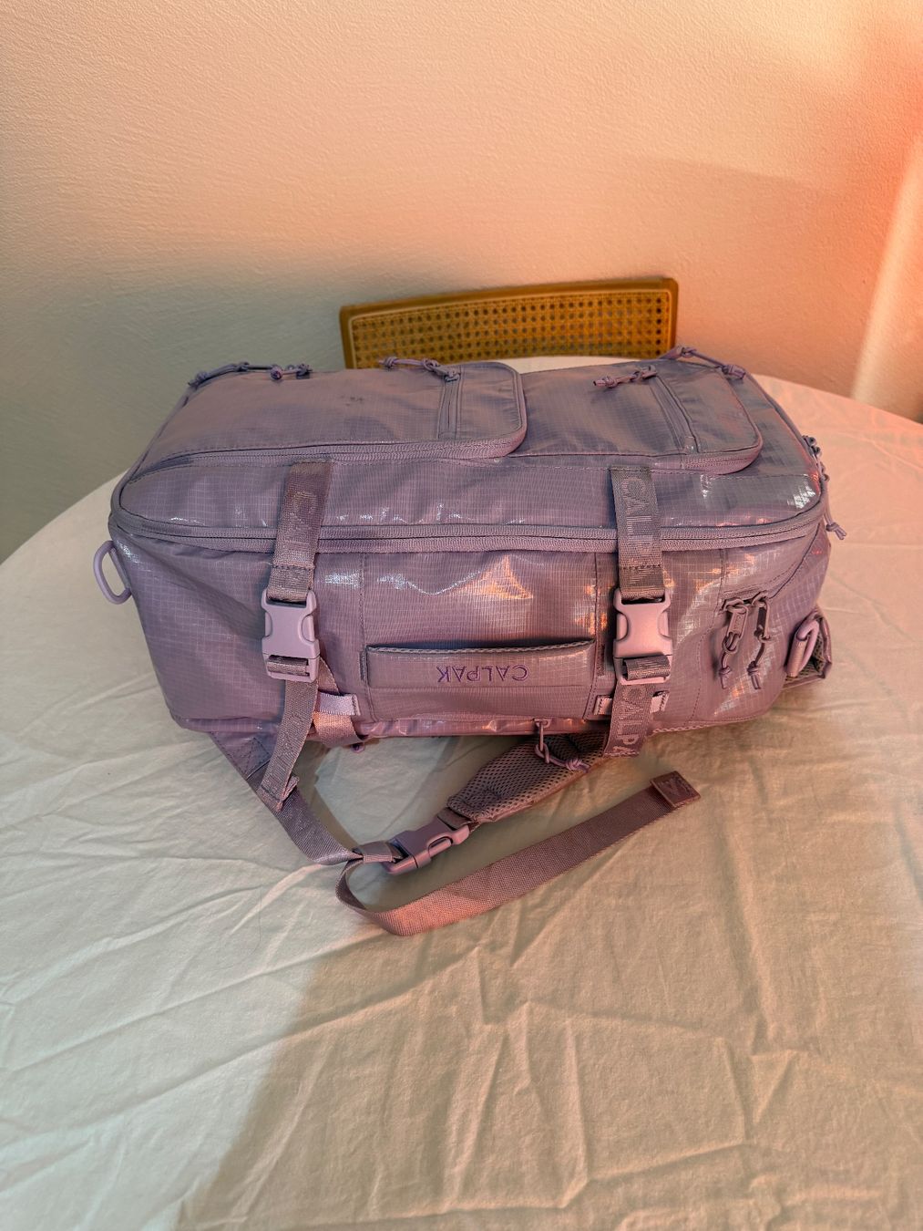 Zaini: Calpak Travel backpack Terra 26l – Usato da Zürich venduto da vik_nzx9 1