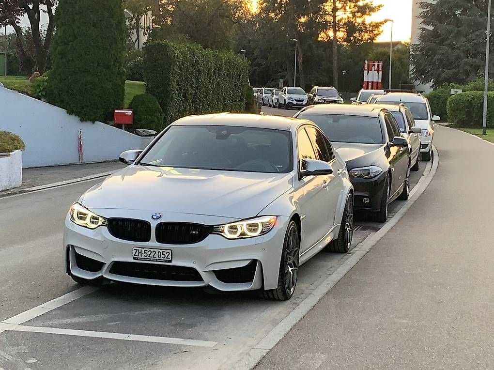 Il mondo degli animali: M3/M4 Original Federn – Usato da Volketswil venduto da Leoo. 1
