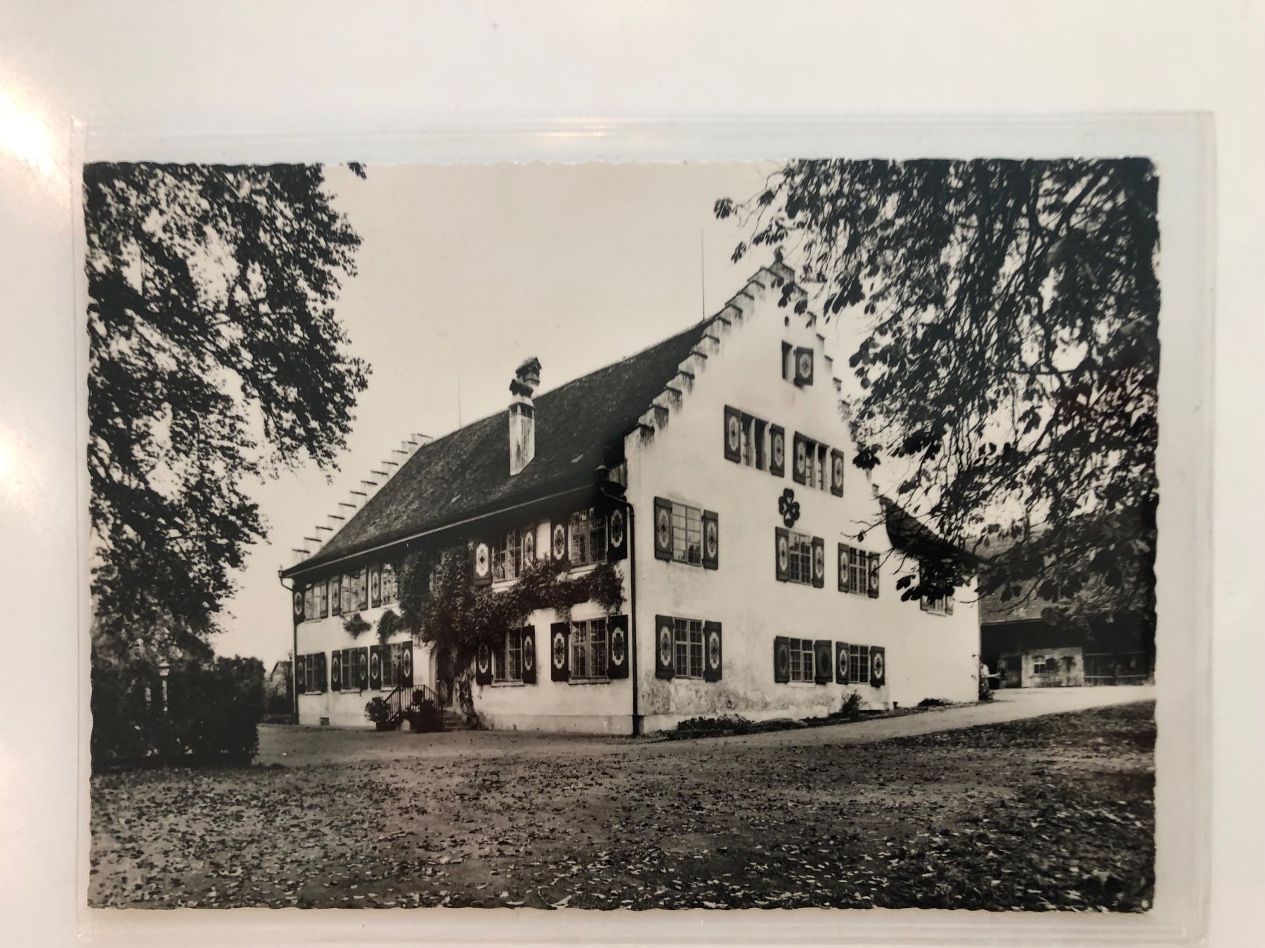 Cartoline postali: 4 ausgesuchte alte Ansichtskarten von WÜLFLINGEN WINTERTHUR – Usato da Lufingen venduto da Rac0 4