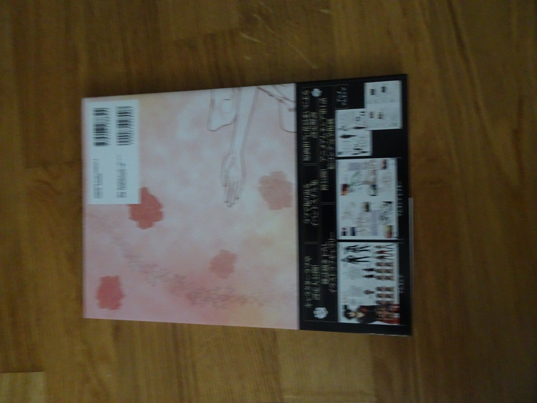Libri: Amnesia - B'sLog Collection Settei Shiryoushuu Artbook – Usato da Bern venduto da Maronn 2
