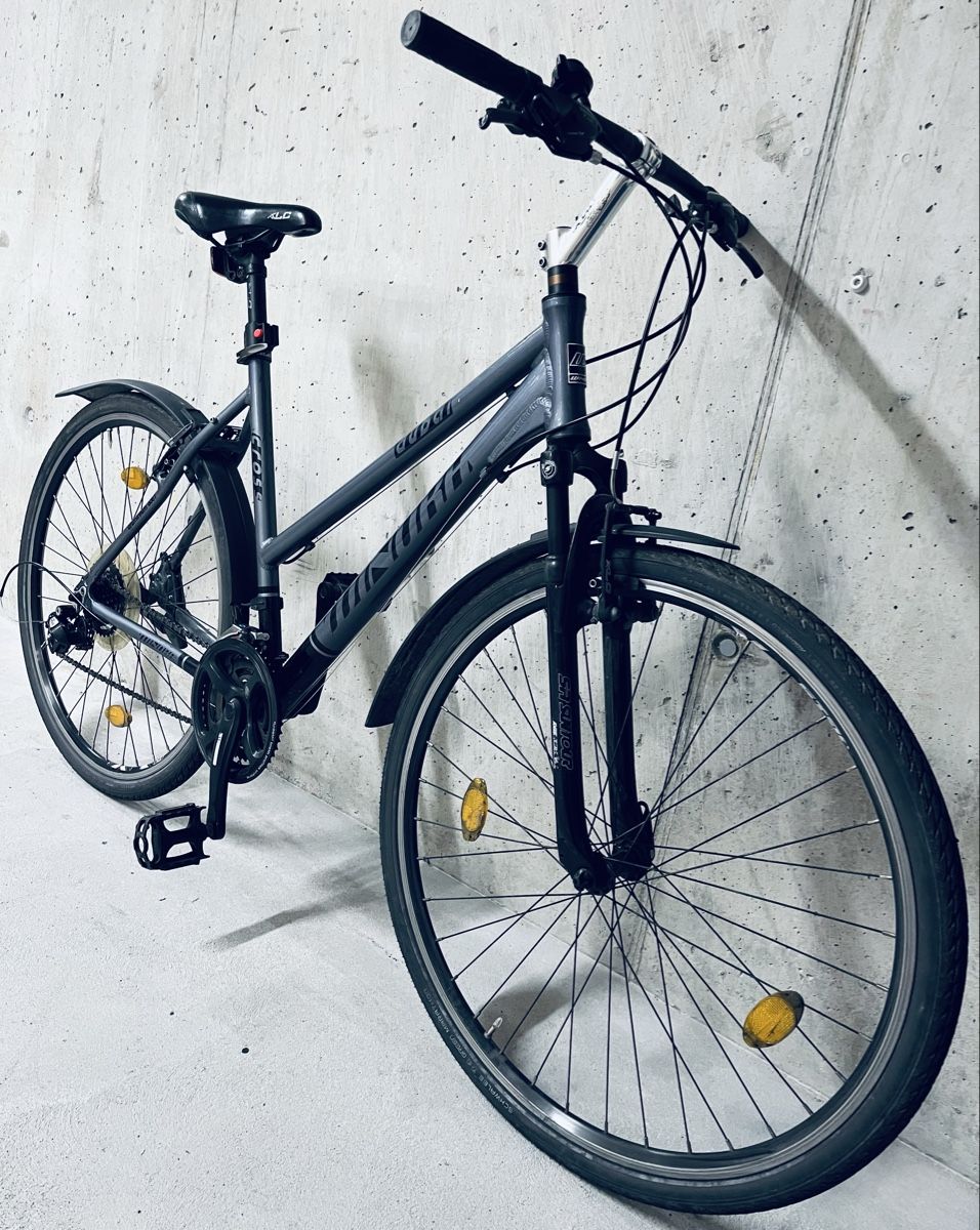 Winora Biciclette: Winora Dubai Damen Velo – Usato da Zürich venduto da Bidon3011 4