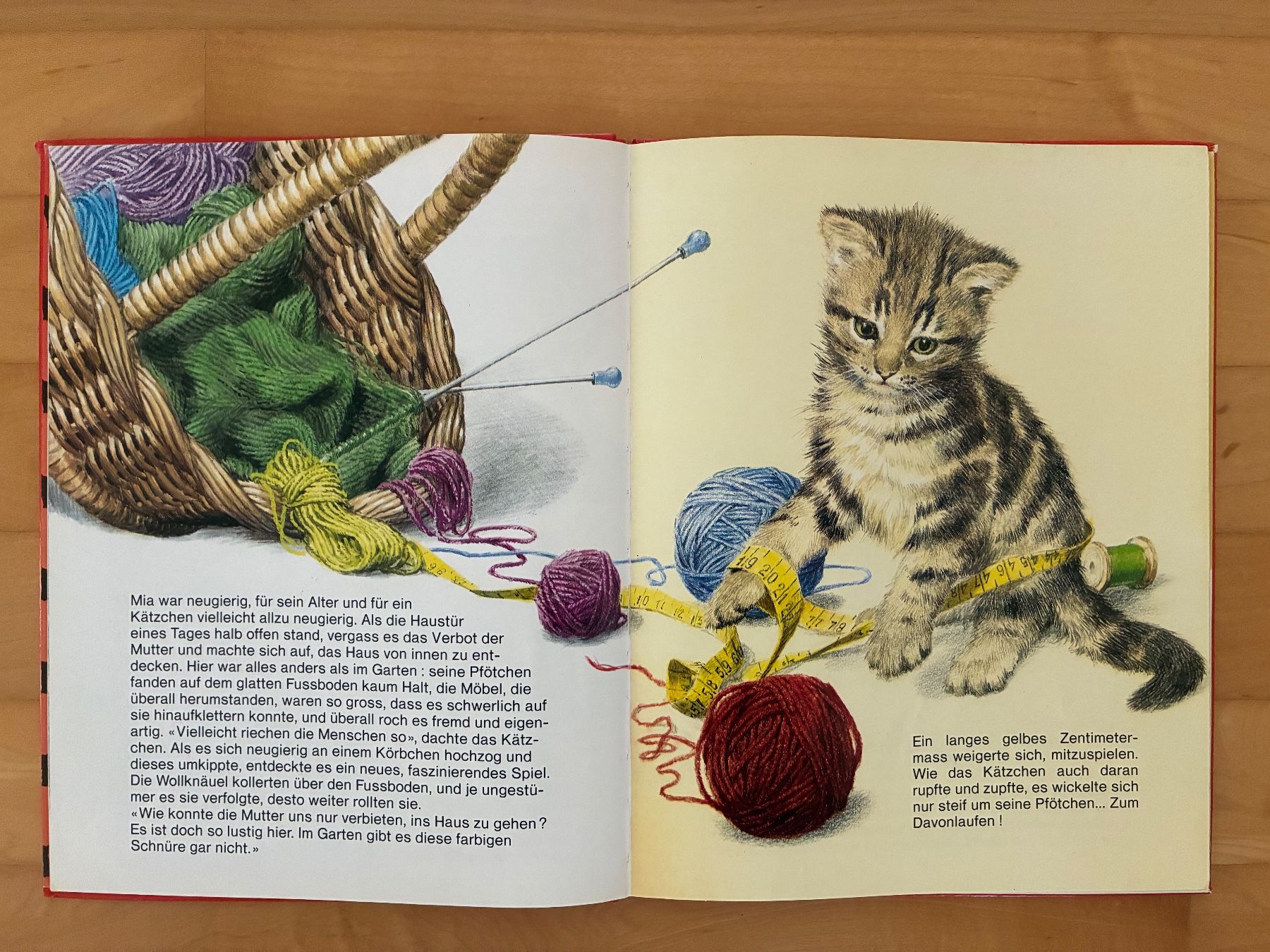 Libri: Kinderbücher: Abenteuer von Cesar, Daisy, Mia, Tom – Usato da Baar venduto da Johan016 2