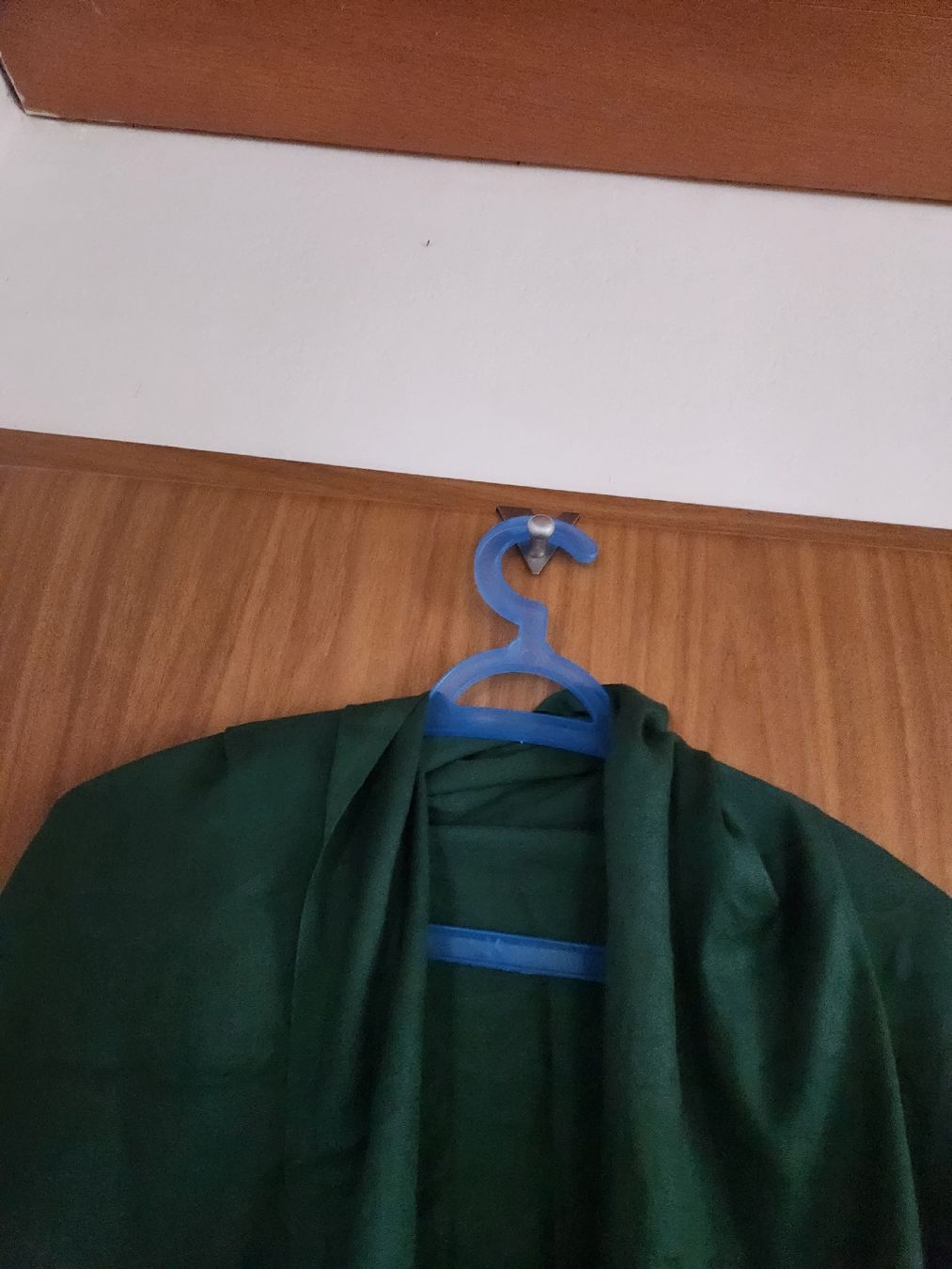 Foulards, Tücher & Schals: Écharpe cachemire vert foncé avec franges taille unique – Gebraucht aus Niedergösgen von Eva2410 3