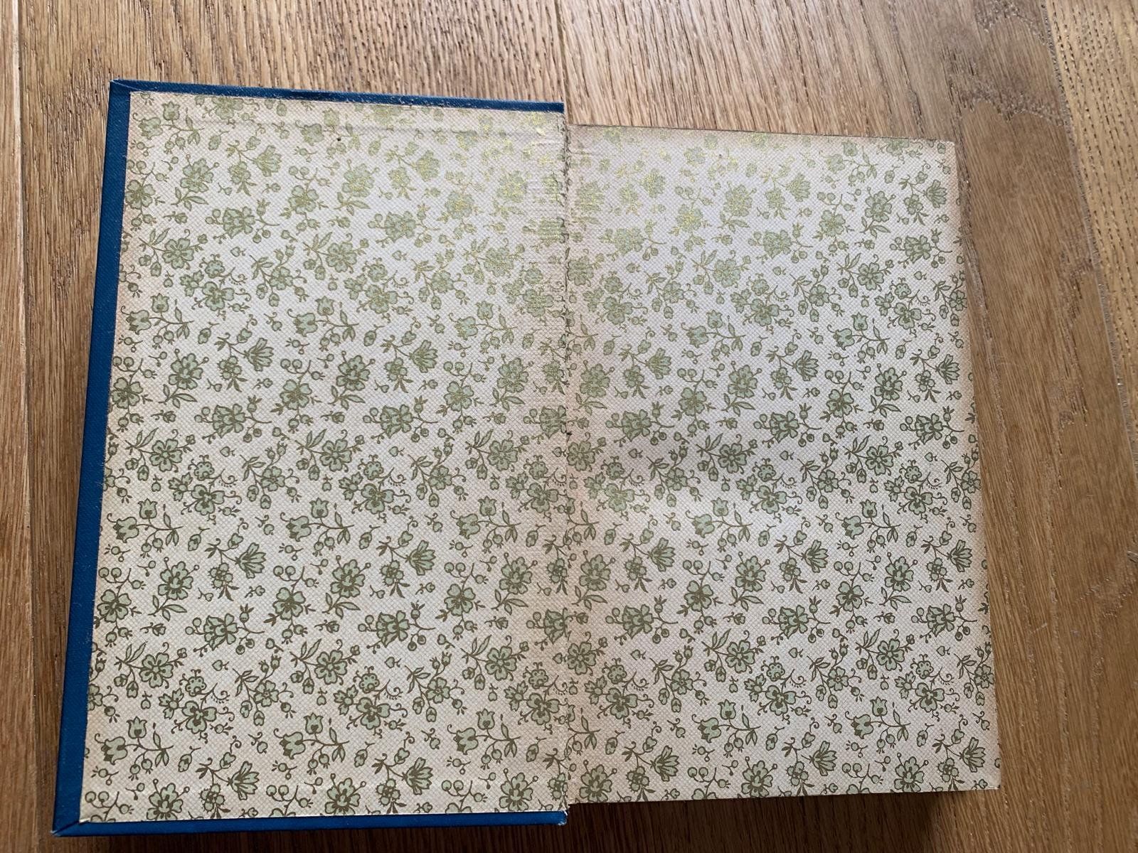 Bücher: Antikes Buch "Dreizehn Linden" von 1892 – Gebraucht aus Grossdietwil von fab_8bdy 2