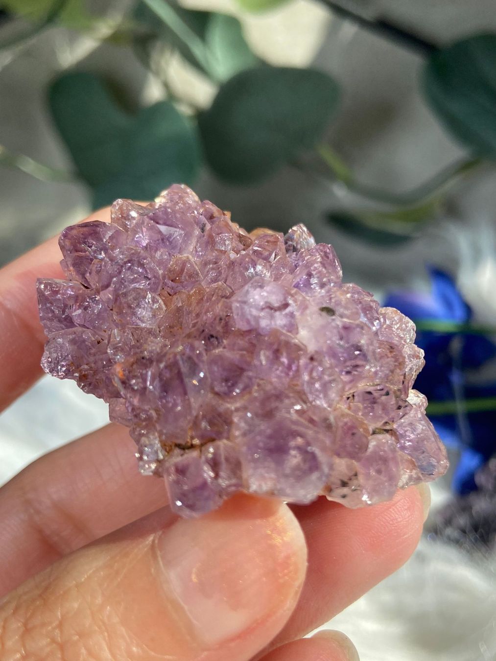 Pietre preziose: Amethyst Rosettte mit Goethit – Nuovo (secondo la descrizione) da Neuheim venduto da m.hald 3