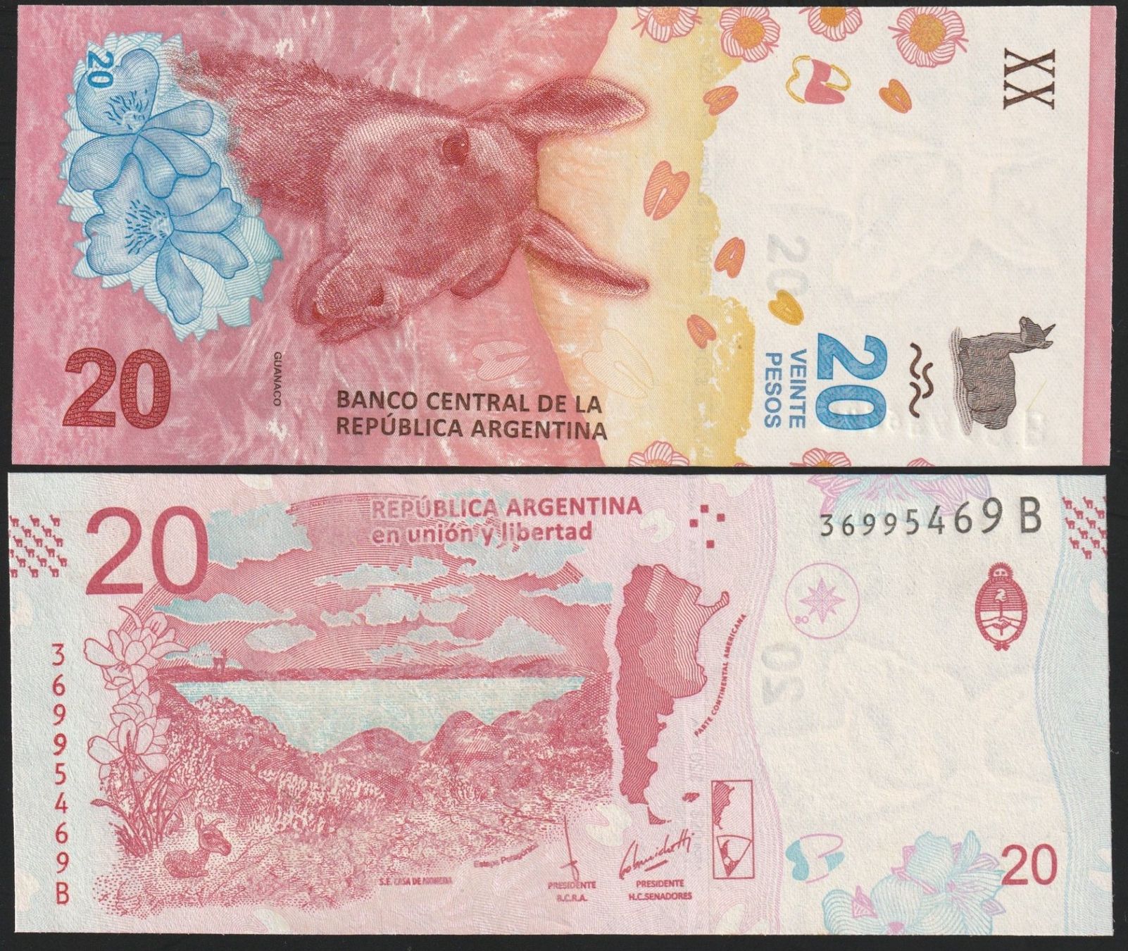 Banknoten: Argentinien 20 Pesos UNC (2017) – Neu (gemäss Beschreibung) aus Naters von Radman