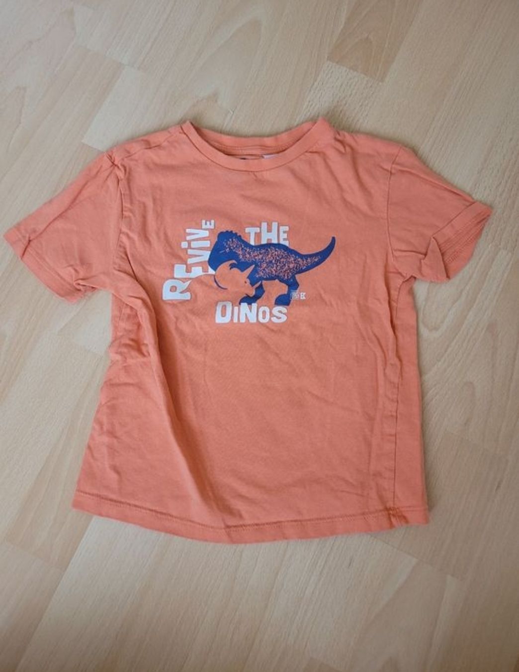 Camicie, T-shirt & Polo: T-Shirt gr. 110 – Usato da Inwil venduto da Flower2325