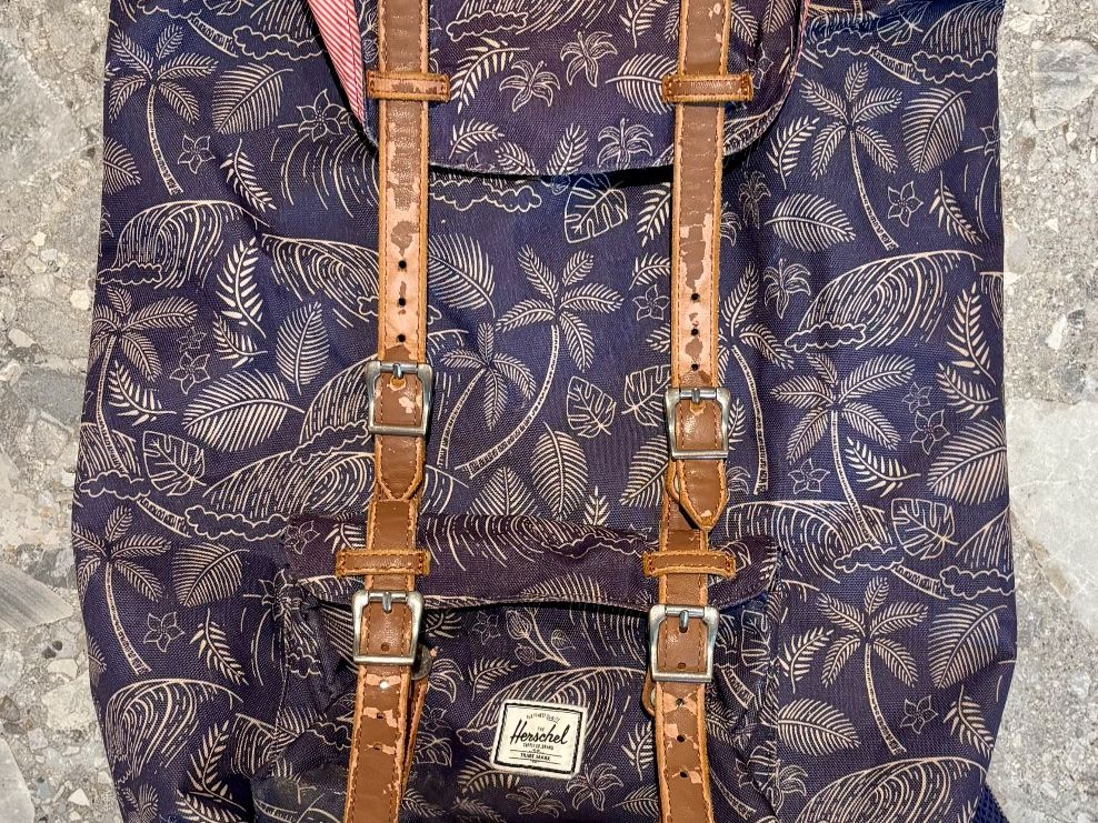 Herschel Zaini: Herschel Rucksack – Usato da Bern venduto da Anis89 4