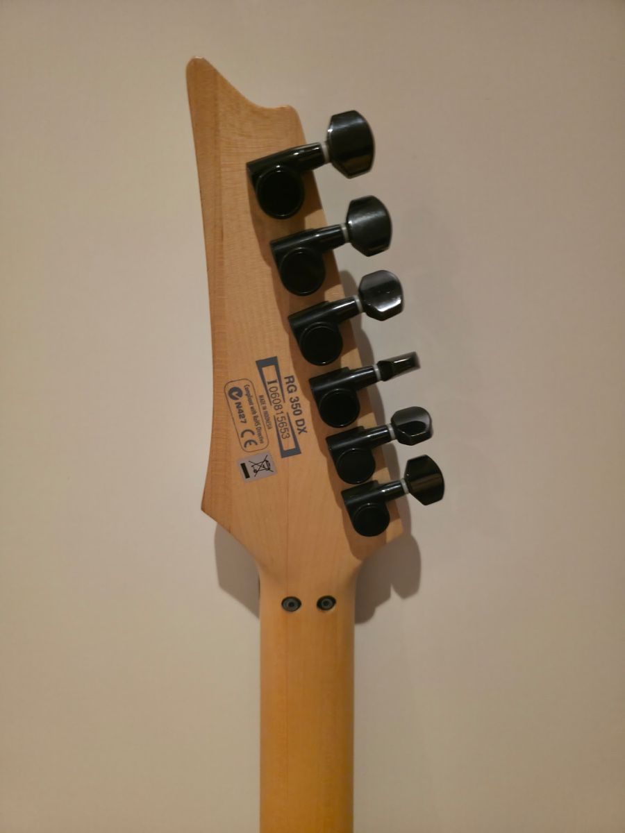 Ibanez Strumenti musicali: Ibanez RG 350 DX – Usato da Landschlacht venduto da Philipp_01 3