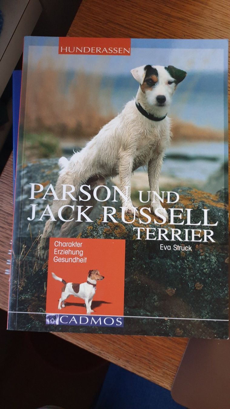 Libri: Parson und Jack Russell Terrier v.Eva Stuck – Nuovo (secondo la descrizione) da Aefligen venduto da Akoni